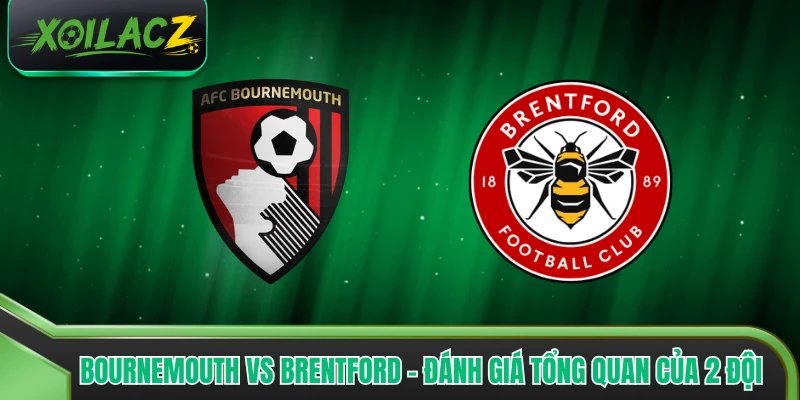 Bournemouth Vs Brentford - Đánh Giá Tổng Quan Của 2 Đội